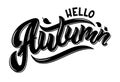 Vector illustration of Hello Autumn text