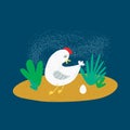 Vector illustration, hen and laid egg, funny flat illustration with texture. Cute chicken upon colorful backgrond. Bright Royalty Free Stock Photo