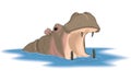 Hippopotamus with Mouth Open Illustration