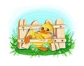 Vector illustration holiday dreeting duckling with a flower climbs over the fence