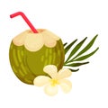 Vector Illustration Of Homemade Cocktail In A Green Coconut With Vanilla Flower