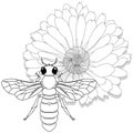 Vector illustration of honey bee on white background. Coloring image Royalty Free Stock Photo