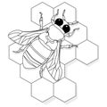 Vector illustration of honey bee on white background. Coloring image Royalty Free Stock Photo
