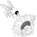 Vector illustration of honey bee on white background. Coloring image Royalty Free Stock Photo