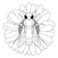 Vector illustration of honey bee on white background. Coloring image Royalty Free Stock Photo