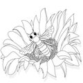 Vector illustration of honey bee on white background. Coloring image Royalty Free Stock Photo