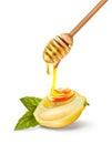 Vector illustration of honey spoon with honey lemon and mint