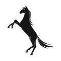 Vector design of horse and brown logo. Set of horse and hippodrome vector icon for stock. Royalty Free Stock Photo