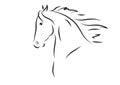 Vector illustration of horse head