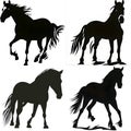 Black silhouette of horses on white background Royalty Free Stock Photo