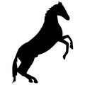 Horse Icon