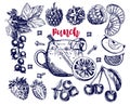 Vector illustration with hot drink. Fruit and berry punch. Sketch isolated objects on a white background. Winter hot