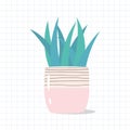 Vector illustration of house plant in Scandinavain style. Green plant in cute pot isolated on white background. Royalty Free Stock Photo