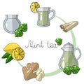 Vector illustration of how to make mint tea