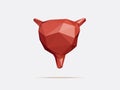 Vector illustration of human bladder with faceted low-poly geometry effect Royalty Free Stock Photo