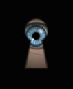 Vector illustration of human blue eye peeking through the dark keyhole spying on someone Royalty Free Stock Photo