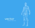 Vector illustration of human body