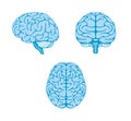 Vector illustration of human brain  3 angles set Royalty Free Stock Photo