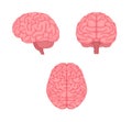 Vector illustration of human brain  3 angles set Royalty Free Stock Photo