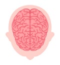 Vector illustration of human brain View from above