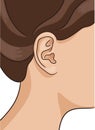 Vector illustration of human ear closeup with part of head and hair, no hearing sign.