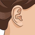 Vector illustration of human ear closeup with part of head and hair. Royalty Free Stock Photo