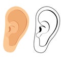 Human ear vector icon isolated on white background. Hearing symbol. Ear icon symbol. Royalty Free Stock Photo