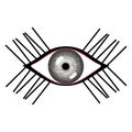 Vector illustration of human eye with eyelashes. Stylized female grey eye with glares