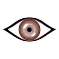 Vector illustration of human eye. Stylized brown eye with glares