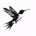 Black silhouette, tattoo of a humming-bird, bird, crow, on white isolated background. Vector Royalty Free Stock Photo