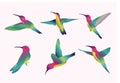 Humming birds illustration set