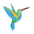 Vector illustration of hummingbird and bird icon. Set of hummingbird and flying stock symbol for web. Royalty Free Stock Photo