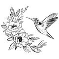 Vector illustration of a hummingbird. Stylized flying bird. Drawing with ornaments. Linear Art. Black and white drawing