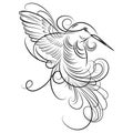 Vector illustration of a hummingbird. Stylized flying bird. Drawing with ornaments. Linear Art. Black and white drawing Royalty Free Stock Photo