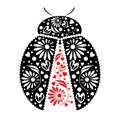 Vector illustration. Icon of decorative ornamental black ladybug, over white background