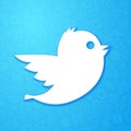 Vector illustration icon with little white bird, social media network sign with blue pattern in the background