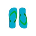 Vector illustration of pair of slippers Royalty Free Stock Photo