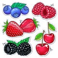 Vector illustration. Sweet berries, vector illustration realistic set