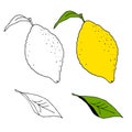 Vector illustration with the image of ah of yellow lemons with green leaves. Drawn by hands in doodle style. Colorful design for Royalty Free Stock Photo