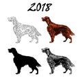 Vector illustration of an image of a dog breed of Setter. Black line, black and white and gray spots, black silhouette, color imag
