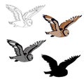 Vector illustration, an image of a flying owl. Black line, black and white and gray spots, black silhouette, color image. Royalty Free Stock Photo