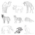 Vector illustration. Image rhino kangaroo, giraffe, elephant, zebra, snake, crocodile, camel, tiger a black line.