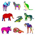 Vector illustration. Image rhino kangaroo, giraffe, elephant, zebra, snake, crocodile, camel, tiger various bright
