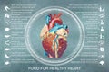 Vector illustration infographic. Food for healthy heart