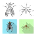 Vector illustration of insect and fly logo. Set of insect and element stock symbol for web. Royalty Free Stock Photo