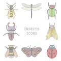 Vector illustration of insects icons color set