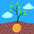 Vector illustration of investing money. Sprout from coin planted in ground