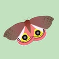 Io moth vector illustration on a green background