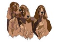 Vector illustration of Irish Setter group dogs breed. For logo branding t-shirt design coloring book catalog dog show. Royalty Free Stock Photo