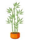 Vector Illustration of isolated bamboo in pot on white background. For flower shop banner, poster. Elements for design Royalty Free Stock Photo